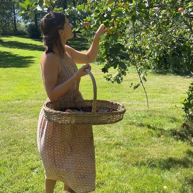 What Are Botanical Allies? A Fresh Take on Herbal Wisdom