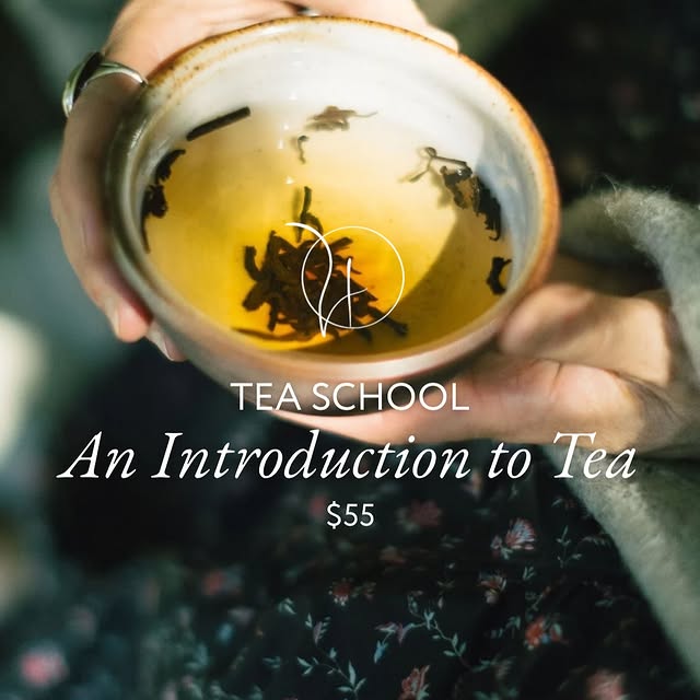 Sip by Sip: Why Every Wellness Journey Should Begin with ‘Introduction to Tea’
