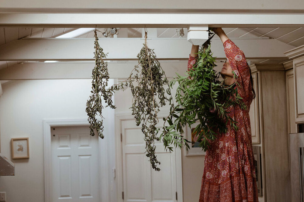 Tea Journey: Grow Your Own Teas / Part 1: Winter Planning-Tea Huntress