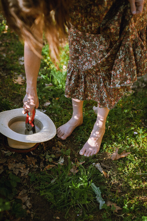 Tea Journey: Grow Your Own Teas/ Part 2: Spring Planting-Tea Huntress