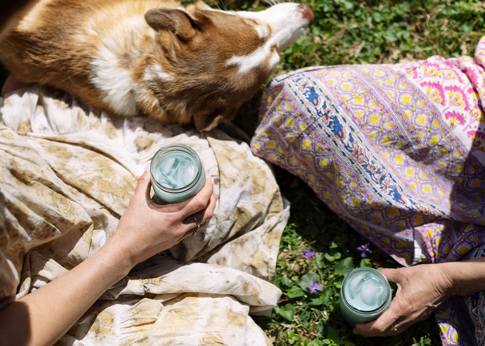 From Retreats to Online Tea Schools: Sarah Scarborough’s Vision for Tea Huntress