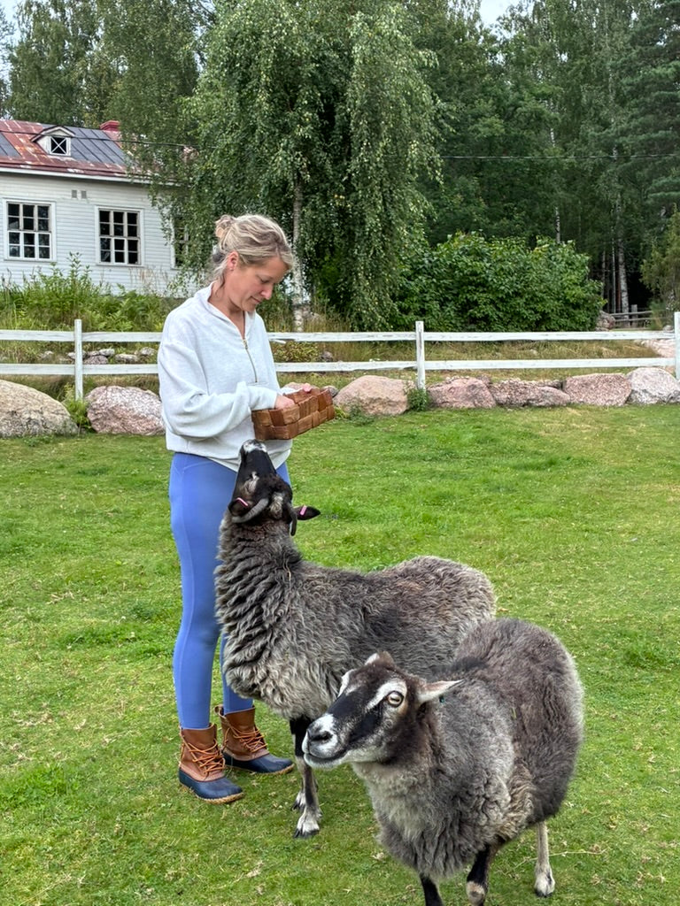 6th Annual Mystic Finland Retreat