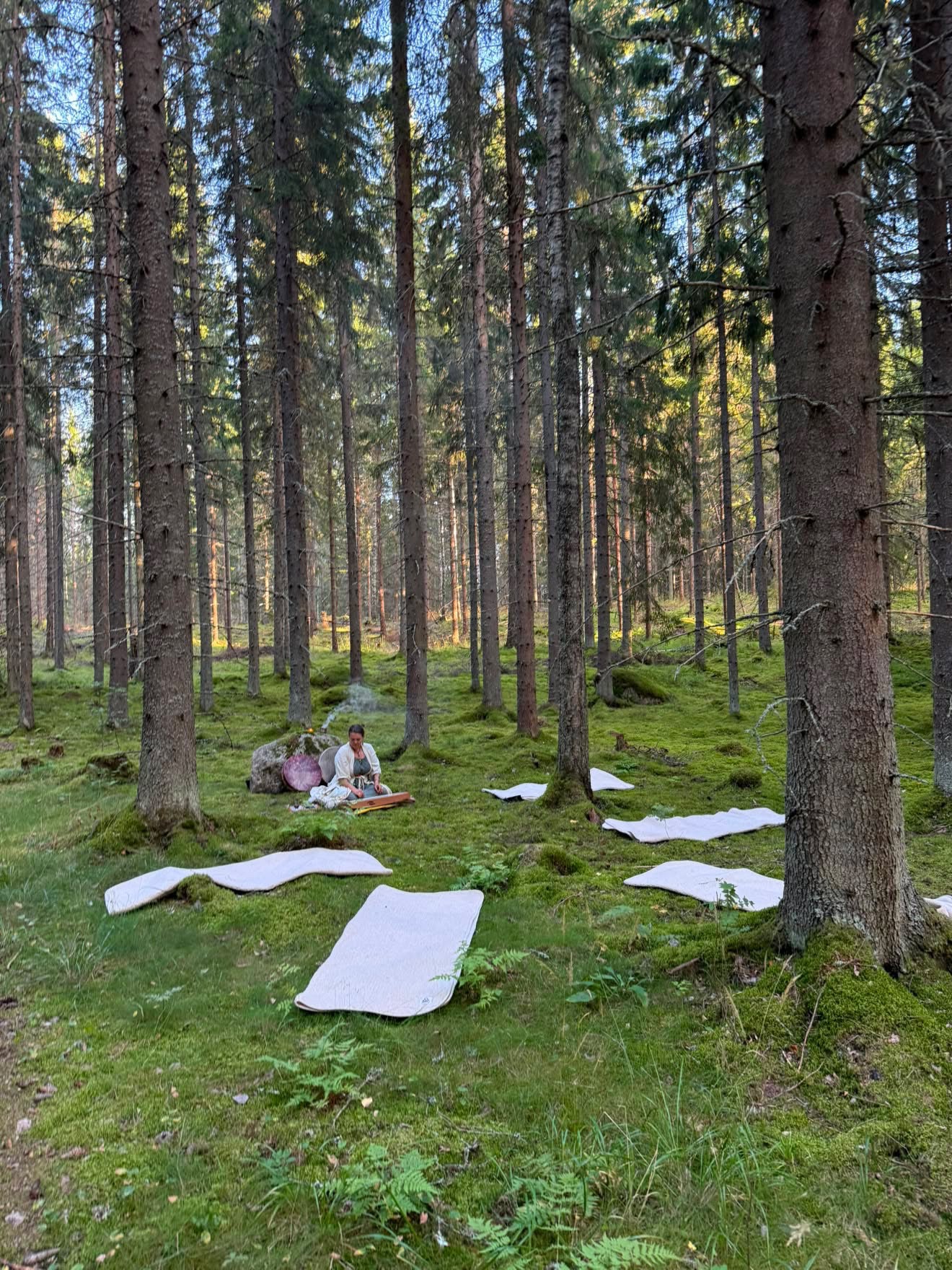6th Annual Mystic Finland Retreat