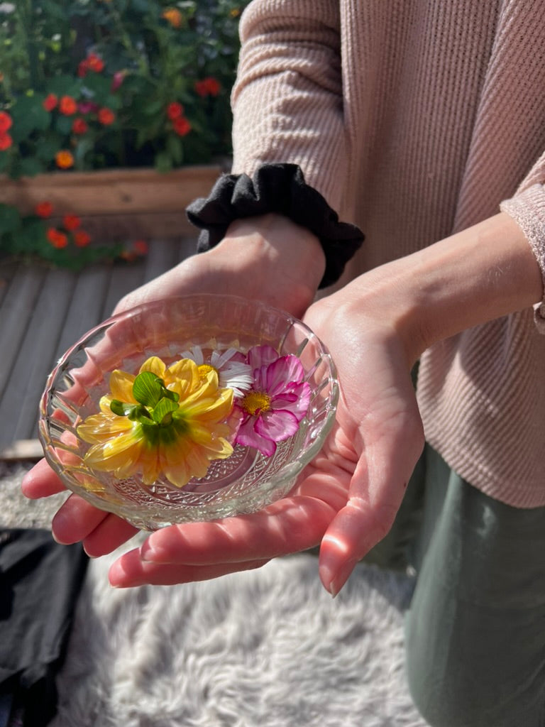 Reiki Trainings & Sessions