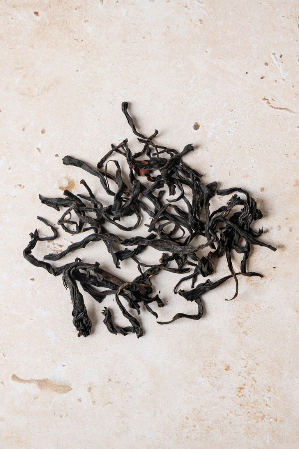 Rewilding – Tea Huntress