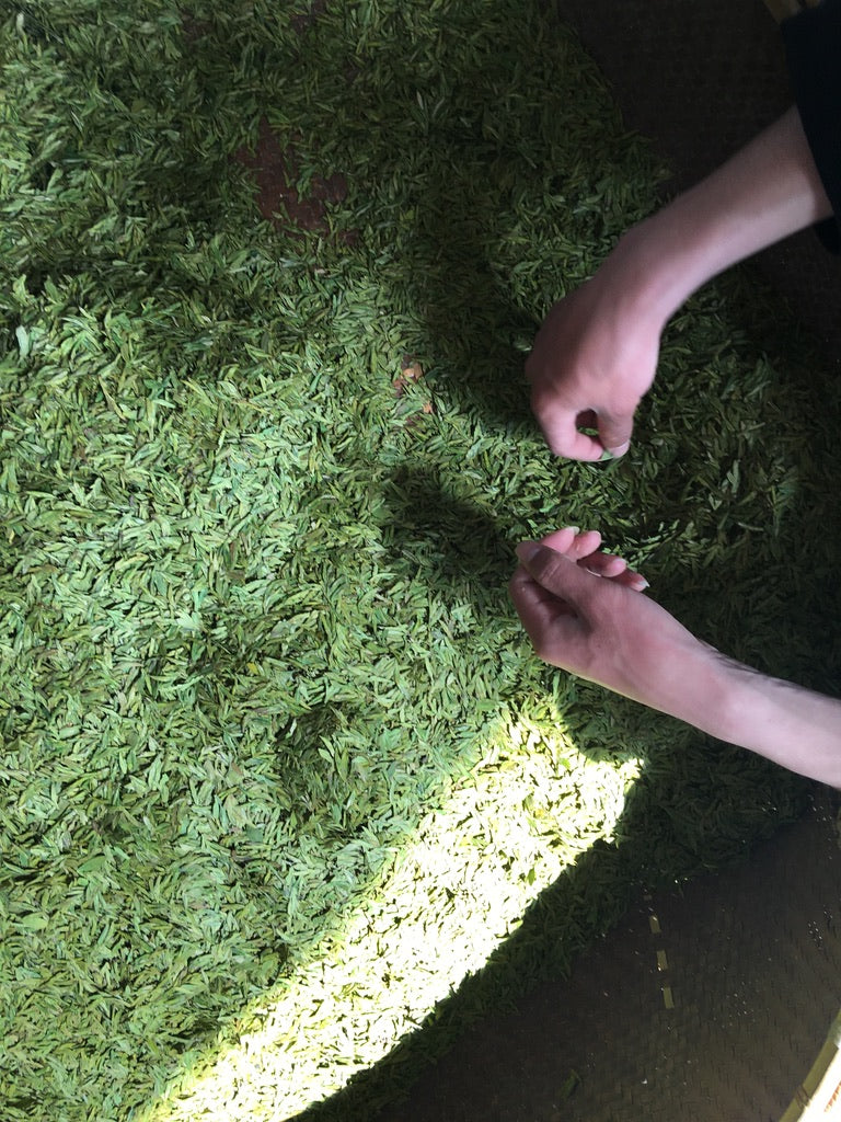 Tea Journey & Tasting