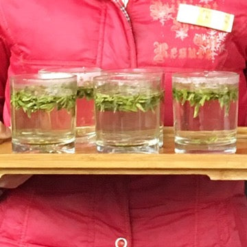 Tea Journey & Tasting