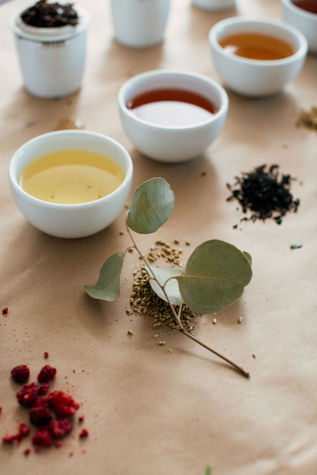 Botanicals for Wellness