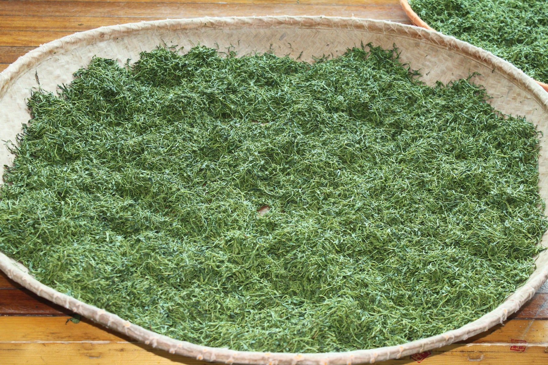 Tea Journey & Tasting