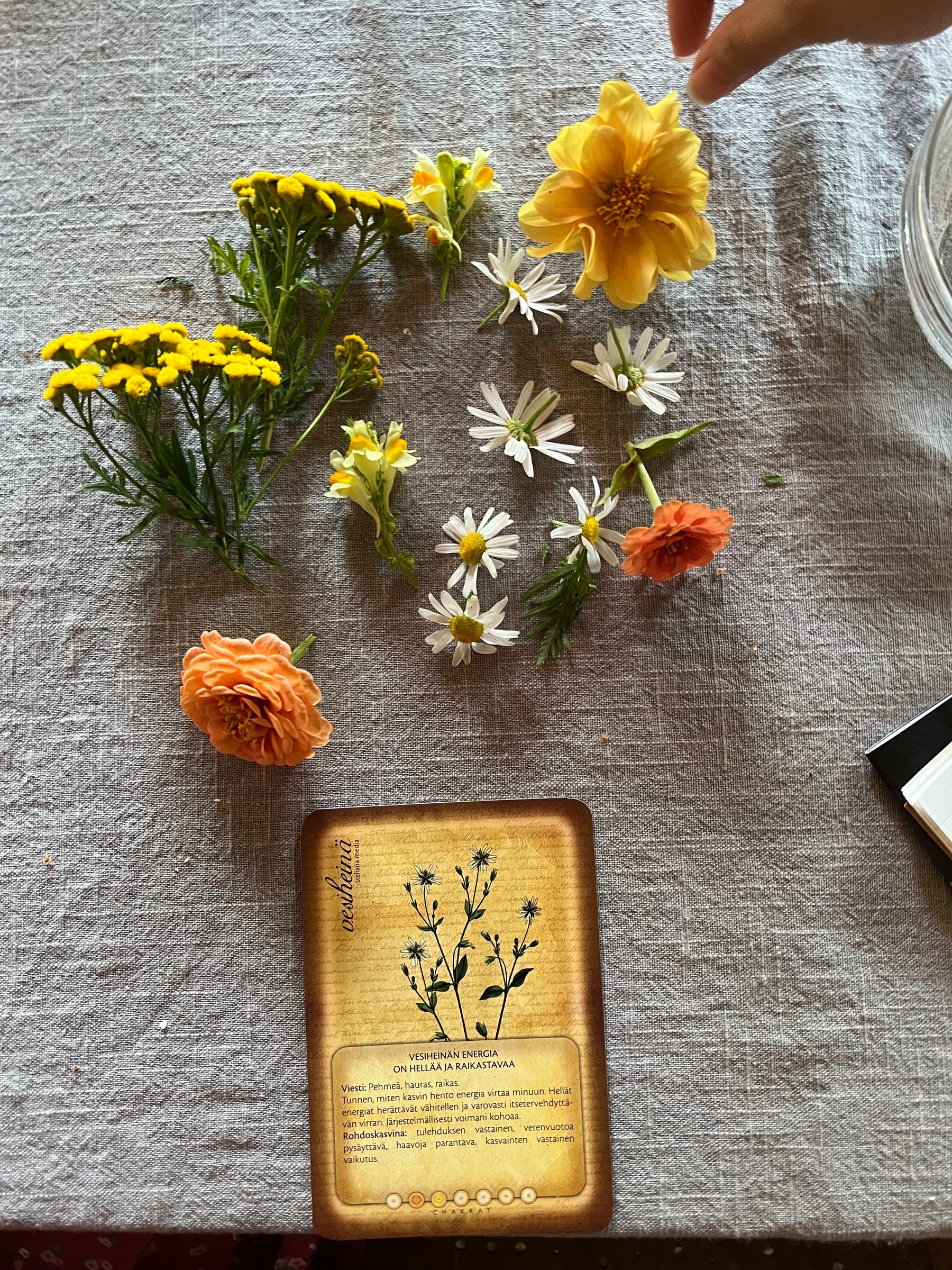 Reiki Trainings & Sessions