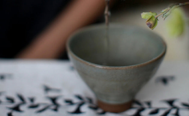 A Beginner’s Guide to Tea: Everything You Need to Know