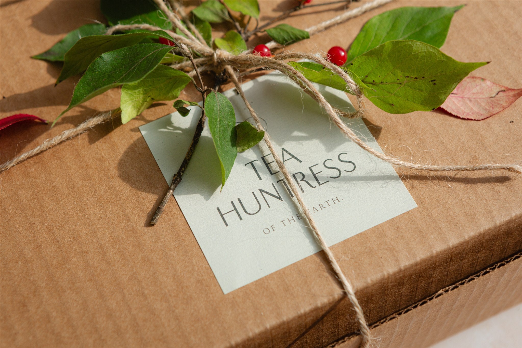 Winter Ritual & Tea Box