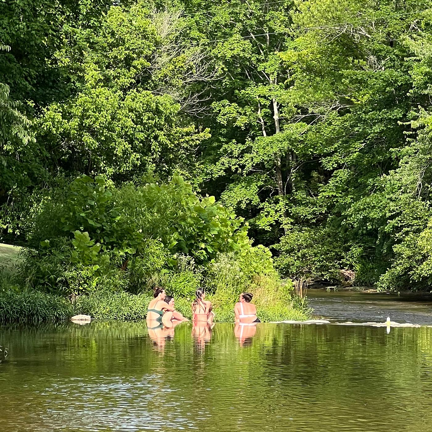 7th Annual Summer Solstice Gathering